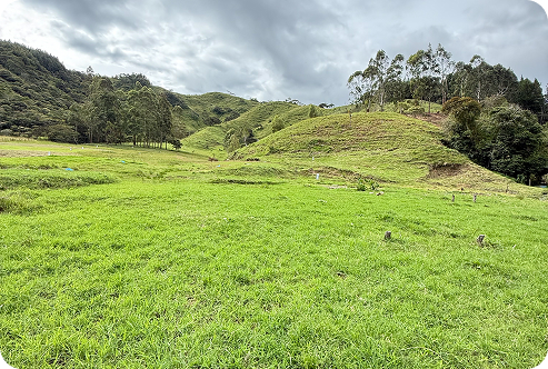 Proyecto Paraíso Escondido en Oxapampa